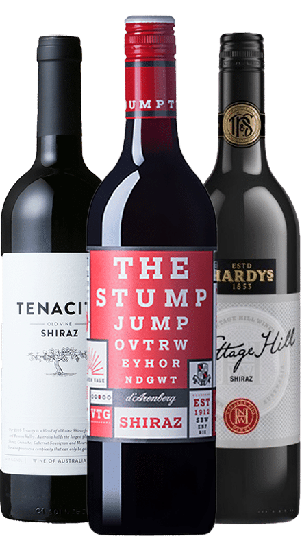 דארנברג סטמפ שירז